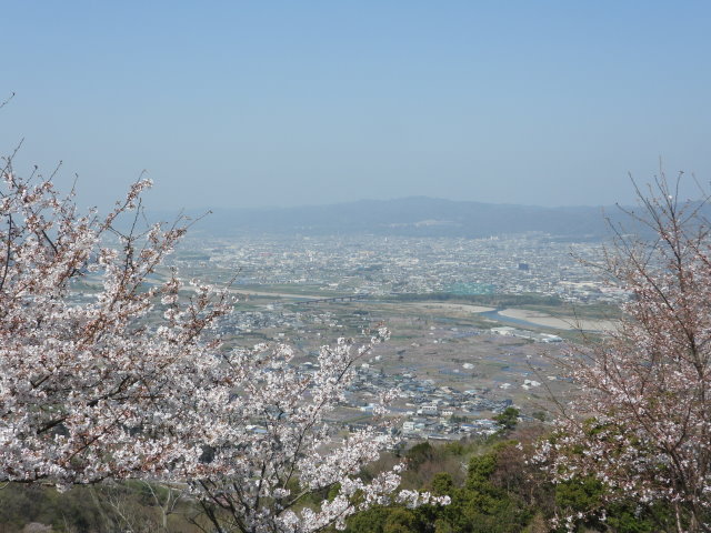 桜 (5).JPG