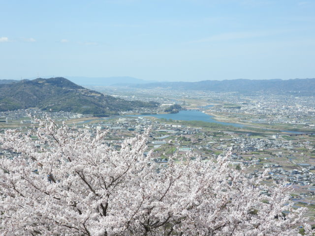 桜の在る風景 (1).JPG